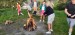 IMG-20240502-WA0003