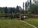IMG-20240504-WA0017